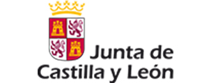 Junta de Castilla y Leon